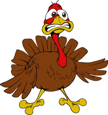 turkey4