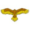 eagle11