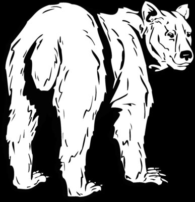 bear43