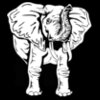 elephan2