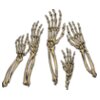 bone hands