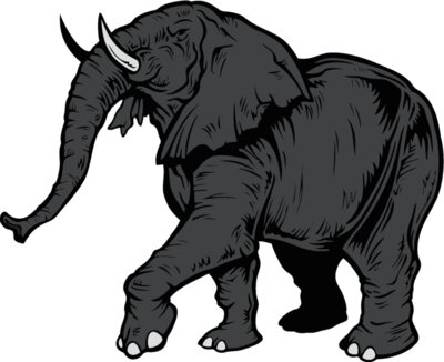 elephantj021