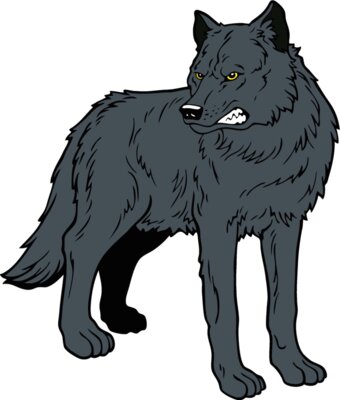 wolf13