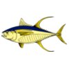 fish yellowfintuna
