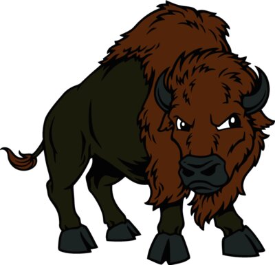 buffalo03v4clr