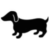 weinerdog dachshund