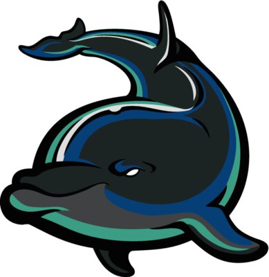 dolphin12