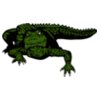 alligators011