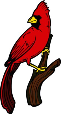 cardinal4
