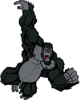 gorilla7