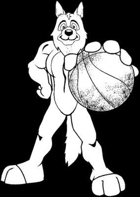 dogbasketball