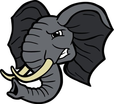 elephanthead14