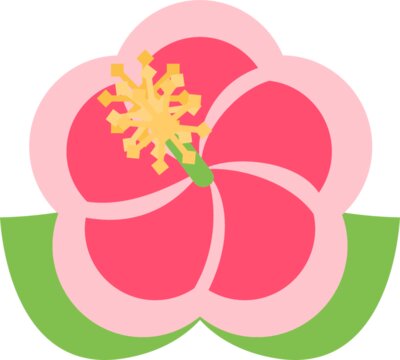 hibiscusflower