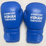 BFL Blue Gloves - Size 12oz