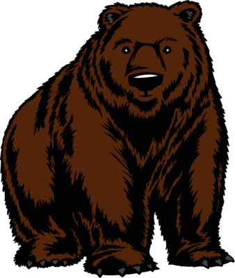 bear81
